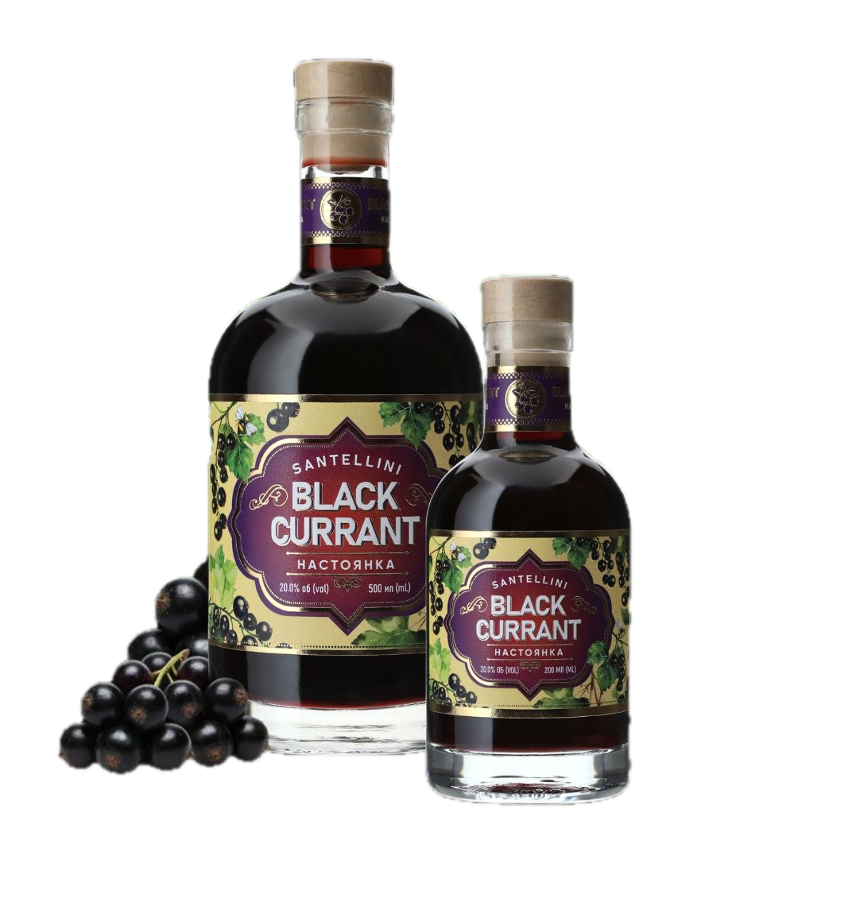 Santellini Schwarze Johannisbeere